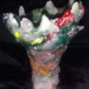 Meet your Posher, Tara